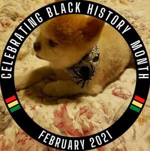 Meet your Posher, Yvette